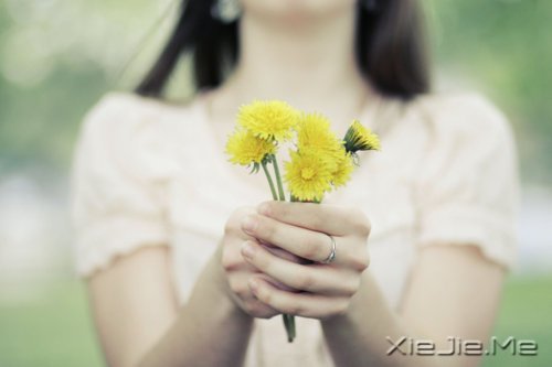 平淡与安静，亦是心灵的另一种力量 (5)