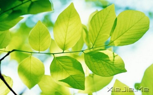 平淡与安静，亦是心灵的另一种力量 (7)