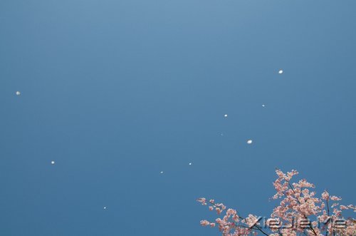 平淡与安静，亦是心灵的另一种力量 (9)