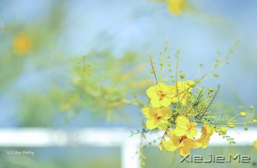 晚安心语：最喜欢谈论你的人，往往是最不了解你的人 (4)