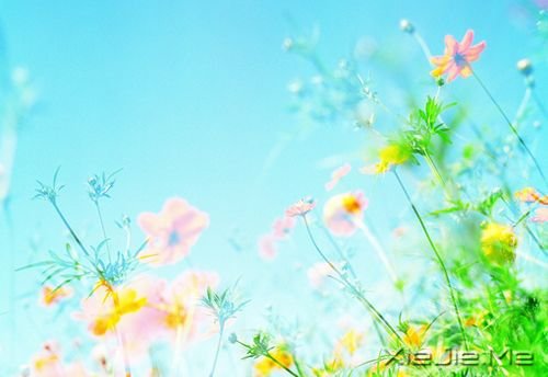 早安心语：生活总会给你另一个机会，这个机会叫明天 (1)