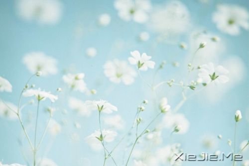 早安心语：生活总会给你另一个机会，这个机会叫明天 (7)