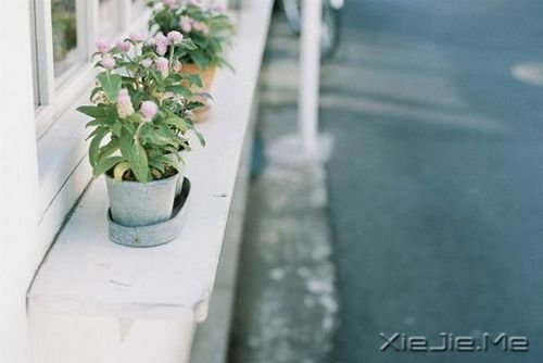 早安心语：住未来的我，你高攀不起 (3)