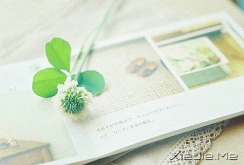 晚安心语：人生活的是经历，幸福总是在路上 (8)