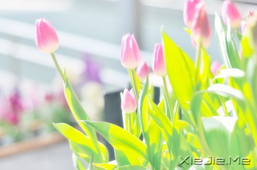 文字：你只管负责精彩，老天自有安排